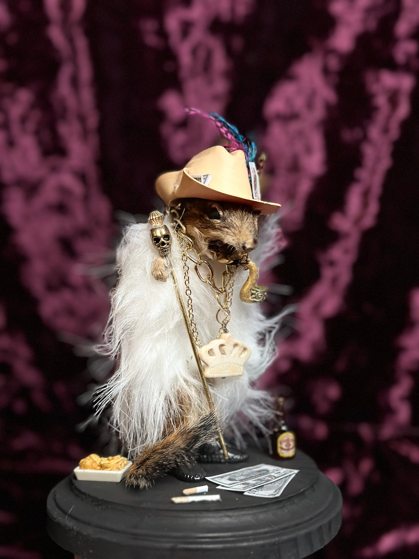 Pimp munk taxidermy oddity