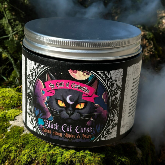 Black cat curse 8oz wickless candle *PREORDER*