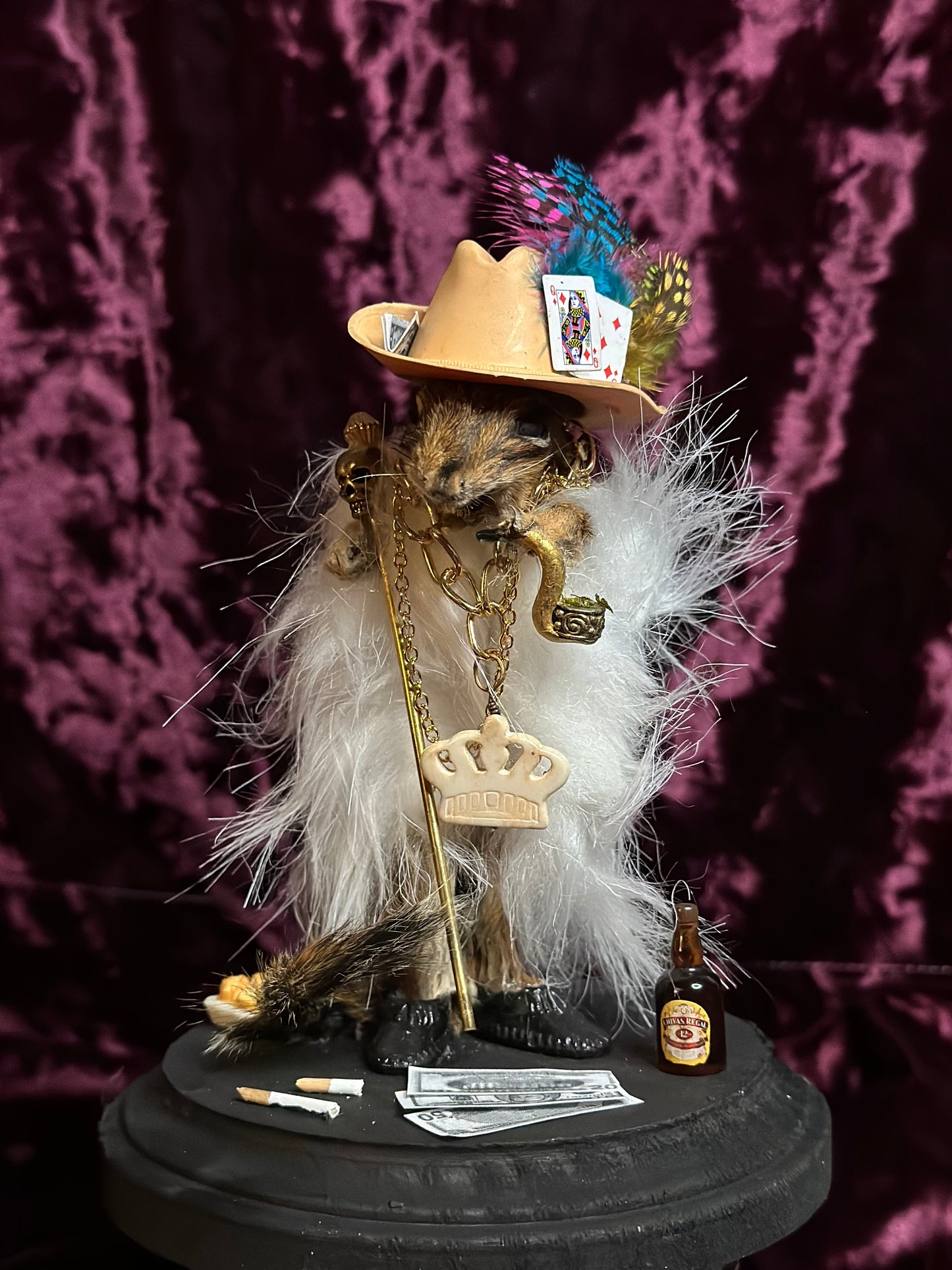 Pimp munk taxidermy oddity