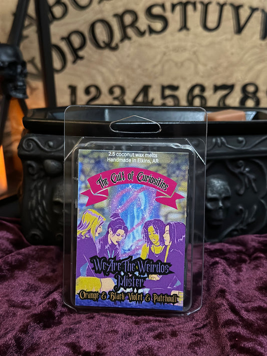 We are the weirdos mister 2.5oz wax melts